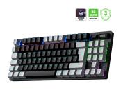 GAMEPOWER EVA 5 BLUE SWITCH 88 MEKANİK KLAVYE RBW - 1